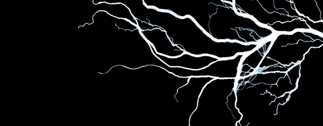 Sicherheit bei Elektro Meyer GmbH in Dipperz