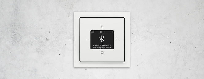 Busch-Radio Btconnect bei Elektro Meyer GmbH in Dipperz